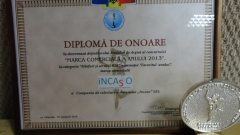 INCASO – Favoritul Anului 2013
